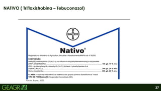 37
NATIVO ( Trifloxistrobina – Tebuconazol)
Fonte: Bayer, 2022.
 