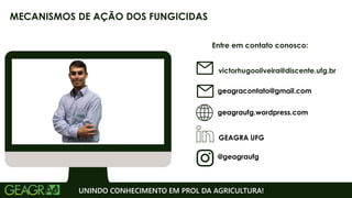 Entre em contato conosco:
geagraufg.wordpress.com
geagracontato@gmail.com
GEAGRA UFG
@geagraufg
UNINDO CONHECIMENTO EM PROL DA AGRICULTURA!
MECANISMOS DE AÇÃO DOS FUNGICIDAS
victorhugooliveira@discente.ufg.br
 