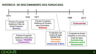 6
HISTÓRICO DE DESCOBRIMENTO DOS FUNGICIDAS
 