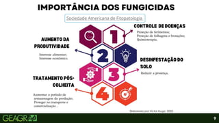 9
Elaborado por Victor Hugo, 2022.
Sociedade Americana de Fitopatologia
 