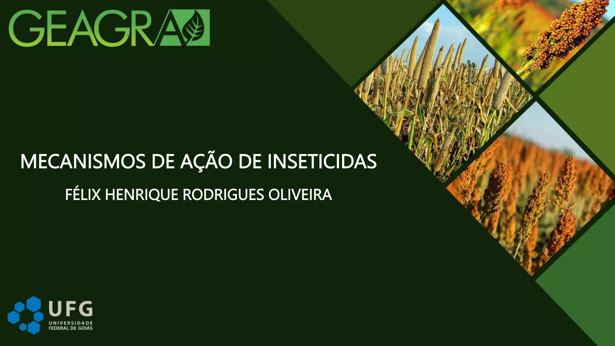 Mecanismo de ação de inseticidas | PPT