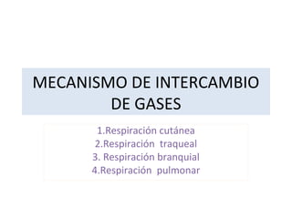 MECANISMO DE INTERCAMBIO
DE GASES
1.Respiración cutánea
2.Respiración traqueal
3. Respiración branquial
4.Respiración pulmonar

 
