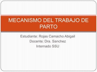 MECANISMO DEL TRABAJO DE
PARTO
Estudiante: Rojas Camacho Abigail
Docente: Dra. Sanchez
Internado SSU

 