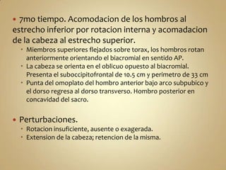7mo tiempo. Acomodacion de los hombros al estrecho inferior por rotacion interna y acomadacion de la cabeza al estrecho superior.Miembros superiores flejados sobre torax, los hombros rotan anteriormente orientando el biacromial en sentido AP.La cabeza se orienta en el oblicuo opuesto al biacromial. Presenta el suboccipitofrontal de 10.5 cm y perimetro de 33 cm Punta del omoplato del hombro anterior bajo arco subpubico y el dorso regresa al dorso transverso. Hombro posterior en concavidad del sacro.Perturbaciones.Rotacion insuficiente, ausente o exagerada. Extension de la cabeza; retencion de la misma.
