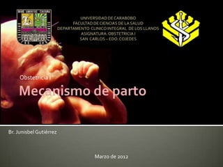 UNIVERSIDAD DE CARABOBO
                               FACULTAD DE CIENCIAS DE LA SALUD
                         DEPARTAMENTO CLINICO INTEGRAL DE LOS LLANOS
                                  ASIGNATURA: OBSTETRICIA I
                                  SAN CARLOS – EDO. COJEDES




     Obstetricia I




Br. Junisbel Gutiérrez



                                        Marzo de 2012
 