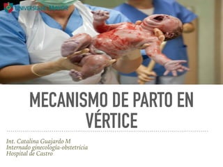 MECANISMO DE PARTO EN
VÉRTICE
Int. Catalina Guajardo M
Internado ginecología-obstetricia
Hospital de Castro
 