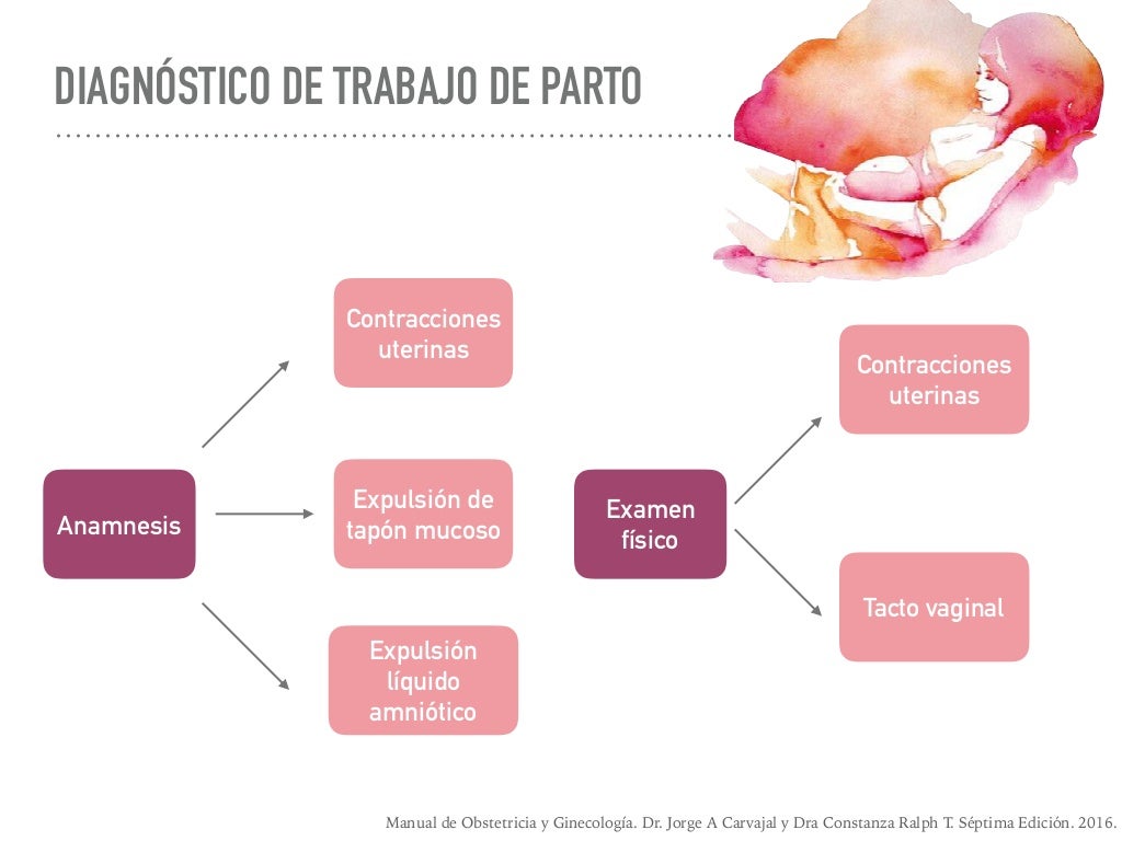 Mecanismo de Parto en Vértice