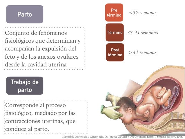Mecanismo de Parto en Vértice