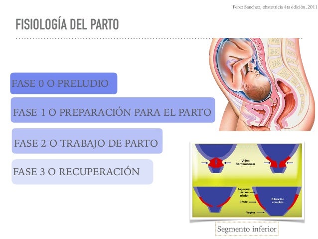 Mecanismo de Parto en Vértice