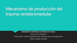 Mecanismo de producción del
trauma vertebromedular
BENEMÉRITA UNIVERSIDAD AUTÓNOMA DE PUEBLA
FACULTAD DE MEDICINA
NOSOLOGÍA Y CLÍNICA QUIRÚRGICA DEL SISTEMA MUSCULOESQUELÉTICO
ISMAEL SUÁREZ VENTURA
 