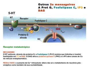 Outros  2o mensageiros A Prot G,  Fosfolipase C ,  IP3  e  DAG Receptor metabotrópico  MECANISMO   O NT estimula, através da proteína G, a  Fosfolipase C  (PLC) enzima que hidrolisa o inositol fosfolipídio em  IP3  e  DAG.  O DAG ativa a  proteína quinase C  (PKC) e o IP3 abre canais de Ca do reticulo endoplasmático. RESULTADO : o aumento de Ca ++  intracelular   altera não só o metabolismo do neurônio pós-sináptico como também da sua excitabilidade.  5-HT 