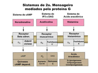 Sistemas de 2o. Mensageiro mediados pela proteína G 