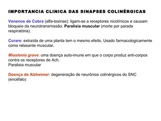 IMPORTANCIA CLINICA DAS SINAPSES COLINÉRGICAS Venenos de Cobra  (alfa-toxinas): ligam-se a receptores nicotínicos e causam bloqueio da neurotransmissâo.  Paralisia muscular  (morte por parada respiratória). Curare : extraída de uma planta tem o mesmo efeito. Usado farmacologicamente como relaxante muscular. Miastenia grave : uma doença auto-imune em que o corpo produz anti-corpos contra os receptores de Ach. Paralisia muscular Doença de Alzheimer : degeneração de neurônios colinérgicos do SNC (encéfalo) 