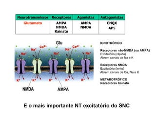 IONOTRÓFICO Receptores não-NMDA (ou AMPA) Excitatório (rápido) Abrem canais de Na e K Receptores NMDA Excitatório (lento) Abrem canais de Ca, Na e K METABOTRÓFICO  Receptores Kainato E o mais importante NT excitatório do SNC CNQX AP5 AMPA NMDA AMPA NMDA Kainato Glutamato Antagonistas Agonistas Receptores Neurotransmissor 