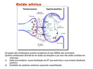 Oxido nítrico Os gases são sintetizados quando receptores do tipo NMDA são acionados.  Quando sintetizados difunde-se em todas as direções e por isso não estão contidas em vesículas.  Ação pré-sináptica: causa facilitação do NT que estimulou a sua sintese (feedback positivo) Endotélio de capilares cerebrais causando vasodilatação  