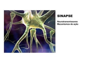 SINAPSE Neurotransmissores  Mecanismos de ação 