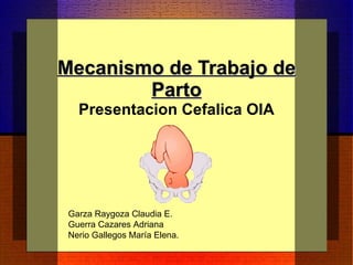 Mecanismo de Trabajo de Parto Presentacion Cefalica OIA Garza Raygoza Claudia E. Guerra Cazares Adriana Nerio Gallegos María Elena. 