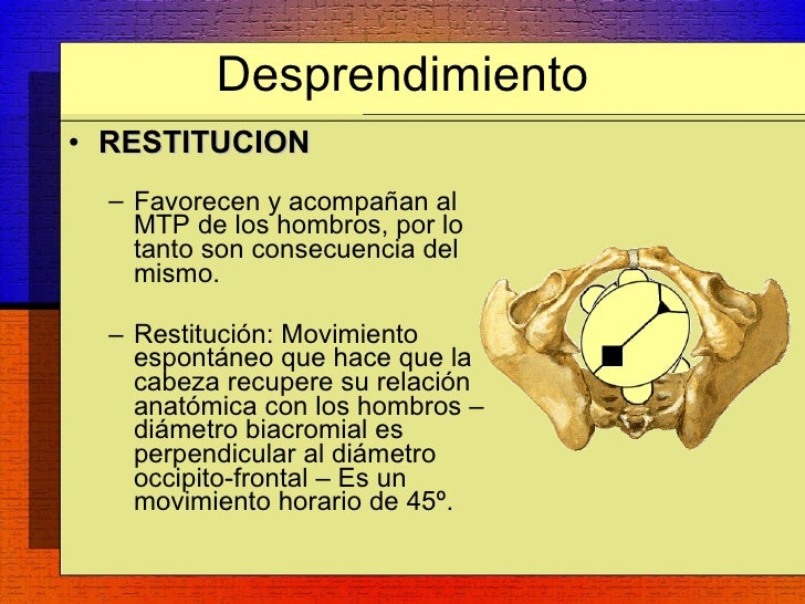 Mecanismo De Trabajo De Parto