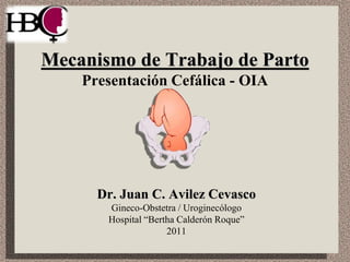 Mecanismo de Trabajo de Parto
Presentación Cefálica - OIA
Dr. Juan C. Avilez Cevasco
Gineco-Obstetra / Uroginecólogo
Hospital “Bertha Calderón Roque”
2011
 