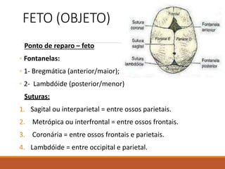 FETO (OBJETO)
Ponto de reparo – feto
◦ Fontanelas:
◦ 1- Bregmática (anterior/maior);
◦ 2- Lambdóide (posterior/menor)
Suturas:
1. Sagital ou interparietal = entre ossos parietais.
2. Metrópica ou interfrontal = entre ossos frontais.
3. Coronária = entre ossos frontais e parietais.
4. Lambdóide = entre occipital e parietal.
 