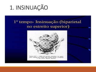 1. INSINUAÇÃO
 