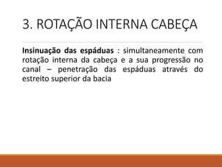 3. ROTAÇÃO INTERNA CABEÇA
Insinuação das espáduas : simultaneamente com
rotação interna da cabeça e a sua progressão no
canal – penetração das espáduas através do
estreito superior da bacia
 