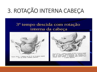 3. ROTAÇÃO INTERNA CABEÇA
 