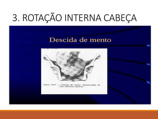 3. ROTAÇÃO INTERNA CABEÇA
 