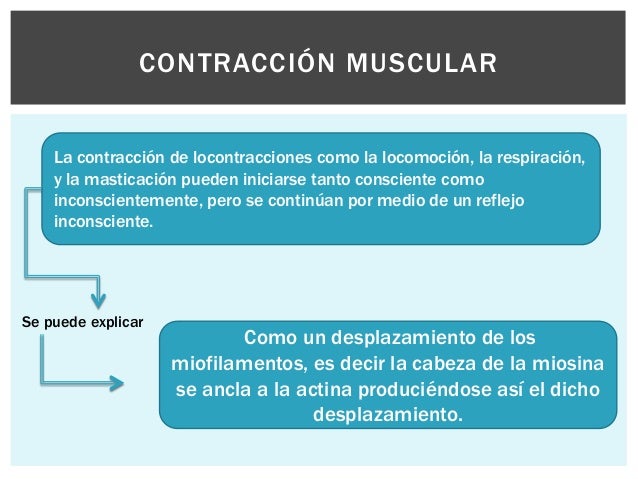 Mecanismo general de la contracción muscular