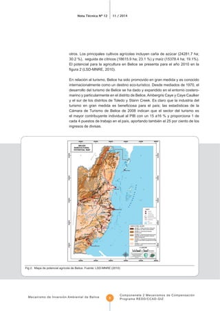 Nota Técnica Nº 12 11 / 2014
Mecanismo de Inversión Ambiental de Belice
Componenete 2 Mecanismos de Compensación
Programa REDD/CCAD-GIZ8
El potencial para la agricultura en Belice se presenta para el año 2010 en la
En relación al turismo, Belice ha sido promovido en gran medida y es conocido
desarrollo del turismo de Belice se ha dado y expandido en el entorno costero-
marino y particularmente en el distrito de Belice, Ambergris Caye y Caye Caulker
y el sur de los distritos de Toledo y Stann Creek. Es claro que la industria del
Cámara de Turismo de Belice de 2008 indican que el sector del turismo es
el mayor contribuyente individual al PIB con un 15 a16 % y proporciona 1 de
ingresos de divisas.
 