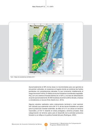 Mecanismo de Inversión Ambiental de Belice
Nota Técnica Nº 12 11 / 2014
Componente 2 Mecanismos de Compensación
Programa REDD/CCAD-GIZ13
Fig 6. Mapa de ecosistemas de Belice 2011.
encuentran cultivadas, en ocasiones en lugares donde se combinan las fuertes
pendientes con precipitaciones elevadas, lo que incrementa notablemente el
Hoy, con una cobertura forestal arbórea de un 62% y una tasa de deforestación
anual de aproximadamente 36.000 hectáreas durante la última década, empieza
et al., 2014).
Algunos estudios realizados sobre ordenamiento territorial a nivel nacional,
han indicado que solamente cerca del 14 % de las tierras forestales son aptas
nacionales y el 9,6 % restante en áreas protegidas y terrenos privados. Esta
categorización de terrenos aptos para el desarrollo de la actividad productiva
 