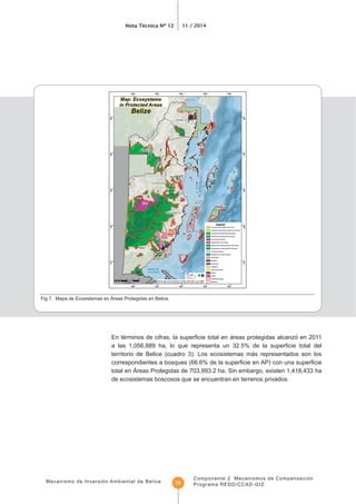 Mecanismo de Inversión Ambiental de Belice
Nota Técnica Nº 12 11 / 2014
Componente 2 Mecanismos de Compensación
Programa REDD/CCAD-GIZ15
Fig 7. Mapa de Ecosistemas en Áreas Protegidas en Belice.
territorio de Belice (cuadro 3). Los ecosistemas más representados son los
total en Áreas Protegidas de 703,993.2 ha. Sin embargo, existen 1,418,433 ha
de ecosistemas boscosos que se encuentran en terrenos privados.
 