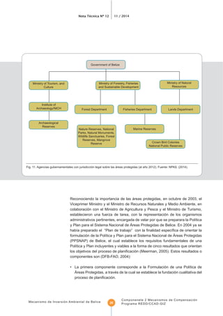 Nota Técnica Nº 12 11 / 2014
Mecanismo de Inversión Ambiental de Belice
Componenete 2 Mecanismos de Compensación
Programa REDD/CCAD-GIZ26
Fig. 11. Agencias gubernamentales con jurisdicción legal sobre las áreas protegidas (al año 2012). Fuente: NPAS. (2014).
Marine ReservesNature Reserves, National
Parks, Natural Monuments,
Reserves, Mangrove
Reserve
Ministry of Tourism, and
Culture
Institute of
Archaeology/NICH
Archaeological
Reserves
Government of Belize
Forest Department
Crown Bird Colonies
National Public Reserves
Lands Department
Ministry of Natural
Resources
Ministry of Forestry, Fisheries
and Sustainable Development
Fisheries Department
Reconociendo la importancia de las áreas protegidas, en octubre de 2003, el
Viceprimer Ministro y el Ministro de Recursos Naturales y Medio Ambiente, en
colaboración con el Ministro de Agricultura y Pesca y el Ministro de Turismo,
establecieron una fuerza de tarea, con la representación de los organismos
y Plan para el Sistema Nacional de Áreas Protegidas de Belice. En 2004 ya se
(PPSNAP) de Belice, el cual establece los requisitos fundamentales de una
componentes son (DFB-FAO, 2004):
Áreas Protegidas, a través de la cual se establece la fundación cualitativa del
 