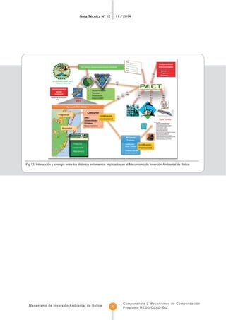 Nota Técnica Nº 12 11 / 2014
Mecanismo de Inversión Ambiental de Belice
Componenete 2 Mecanismos de Compensación
Programa REDD/CCAD-GIZ42
Fig 13. Interacción y sinergia entre los distintos estamentos implicados en el Mecanismo de Inversión Ambiental de Belice
 