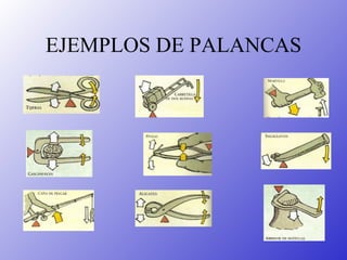 EJEMPLOS DE PALANCAS 
