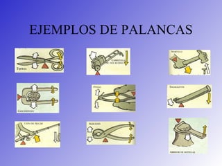 EJEMPLOS DE PALANCAS
 