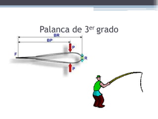 Palanca de 3er grado

 