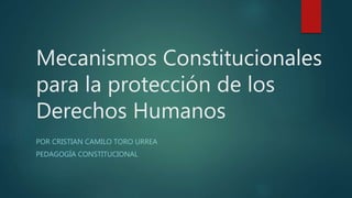 Mecanismos Constitucionales
para la protección de los
Derechos Humanos
POR CRISTIAN CAMILO TORO URREA
PEDAGOGÍA CONSTITUCIONAL
 