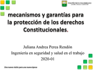 Juliana Andrea Perea Rendón
Ingeniería en seguridad y salud en el trabajo
2020-01
 
