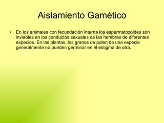 Mecanismos De Aislamientos Reproductivos Precigoticos.Ppt