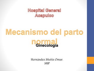 Hernández Muñiz Omar.
MIP
Ginecología
 