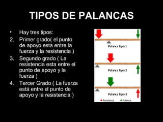 TIPOS DE PALANCAS Hay tres tipos: Primer grado( el punto de apoyo esta entre la fuerza y la resistencia ) Segundo grado ( La resistencia esta entre el punto de apoyo y la fuerza ) Tercer Grado ( La fuerza está entre el punto de apoyo y la resistencia ) 