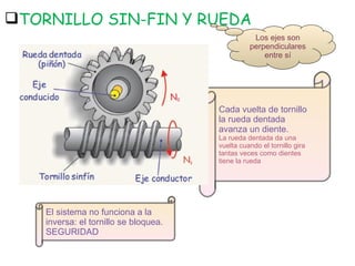 TORNILLO SIN-FIN Y RUEDA El sistema no funciona a la inversa: el tornillo se bloquea. SEGURIDAD Cada vuelta de tornillo la rueda dentada avanza un diente. La rueda dentada da una vuelta cuando el tornillo gira tantas veces como dientes tiene la rueda Los ejes son perpendiculares entre sí 