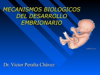 MECANISMOS BIOLOGICOSMECANISMOS BIOLOGICOS
DEL DESARROLLODEL DESARROLLO
EMBRIONARIOEMBRIONARIO
Dr. Victor Peralta ChávezDr. Victor Peralta Chávez
 