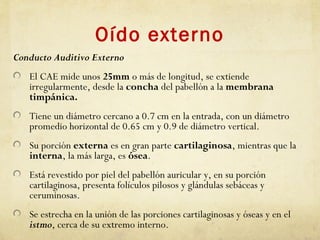 Oído externo
Conducto Auditivo Externo
El CAE mide unos 25mm o más de longitud, se extiende
irregularmente, desde la concha del pabellón a la membrana
timpánica.
Tiene un diámetro cercano a 0.7 cm en la entrada, con un diámetro
promedio horizontal de 0.65 cm y 0.9 de diámetro vertical.
Su porción externa es en gran parte cartilaginosa, mientras que la
interna, la más larga, es ósea.
Está revestido por piel del pabellón auricular y, en su porción
cartilaginosa, presenta folículos pilosos y glándulas sebáceas y
ceruminosas.
Se estrecha en la unión de las porciones cartilaginosas y óseas y en el
istmo, cerca de su extremo interno.
 