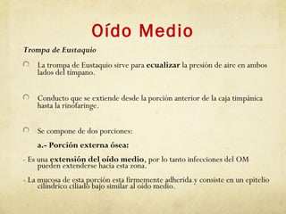 Oído Medio
Trompa de Eustaquio
La trompa de Eustaquio sirve para ecualizar la presión de aire en ambos
lados del tímpano.
Conducto que se extiende desde la porción anterior de la caja timpánica
hasta la rinofaringe.
Se compone de dos porciones:
a.- Porción externa ósea:
- Es una extensión del oído medio, por lo tanto infecciones del OM
pueden extenderse hacia esta zona.
- La mucosa de esta porción esta firmemente adherida y consiste en un epitelio
cilíndrico ciliado bajo similar al oído medio.
 