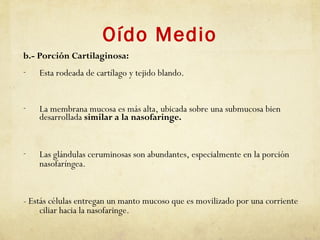 Oído Medio
b.- Porción Cartilaginosa:
- Esta rodeada de cartílago y tejido blando.
- La membrana mucosa es más alta, ubicada sobre una submucosa bien
desarrollada similar a la nasofaringe.
- Las glándulas ceruminosas son abundantes, especialmente en la porción
nasofaríngea.
- Estás células entregan un manto mucoso que es movilizado por una corriente
ciliar hacia la nasofaringe.
 