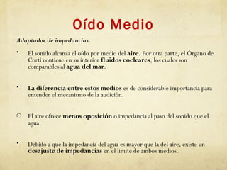 Oído Medio
Adaptador de impedancias
• El sonido alcanza el oído por medio del aire. Por otra parte, el Órgano de
Corti contiene en su interior fluidos cocleares, los cuales son
comparables al agua del mar.
• La diferencia entre estos medios es de considerable importancia para
entender el mecanismo de la audición.
El aire ofrece menos oposición o impedancia al paso del sonido que el
agua.
• Debido a que la impedancia del agua es mayor que la del aire, existe un
desajuste de impedancias en el limite de ambos medios.
 