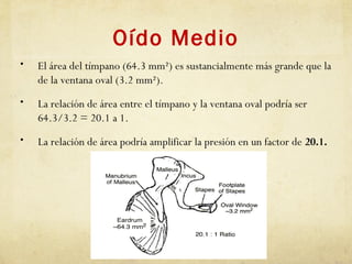 Oído Medio
• El área del tímpano (64.3 mm²) es sustancialmente más grande que la
de la ventana oval (3.2 mm²).
• La relación de área entre el tímpano y la ventana oval podría ser
64.3/3.2 = 20.1 a 1.
• La relación de área podría amplificar la presión en un factor de 20.1.
 