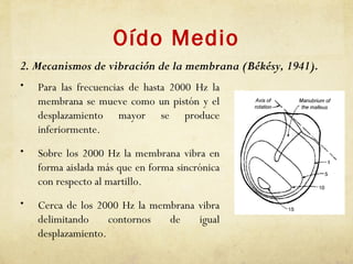 Oído Medio
• Para las frecuencias de hasta 2000 Hz la
membrana se mueve como un pistón y el
desplazamiento mayor se produce
inferiormente.
• Sobre los 2000 Hz la membrana vibra en
forma aislada más que en forma sincrónica
con respecto al martillo.
• Cerca de los 2000 Hz la membrana vibra
delimitando contornos de igual
desplazamiento.
2. Mecanismos de vibración de la membrana (Békésy, 1941).
 